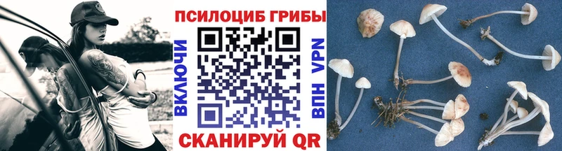 Псилоцибиновые грибы Psilocybine cubensis  купить наркотик  Няндома 