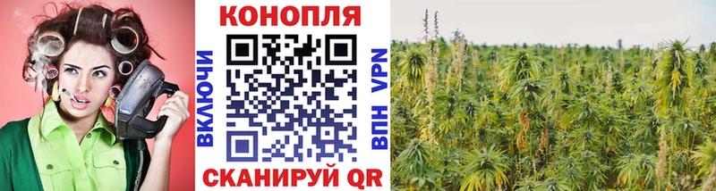 Шишки марихуана ГИДРОПОН  blacksprut ONION  Няндома 